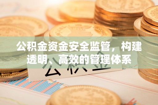 锡山公积金资金安全监管，构建透明、高效的管理体系
