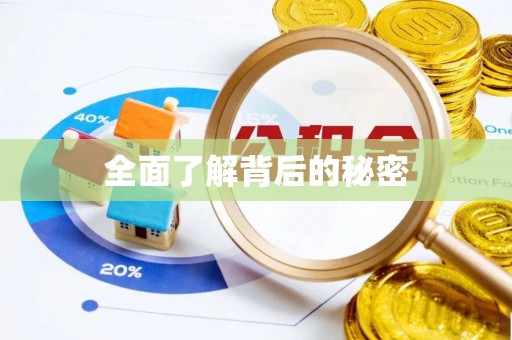 锡山全面了解背后的秘密