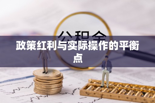 锡山政策红利与实际操作的平衡点