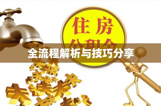 锡山全流程解析与技巧分享